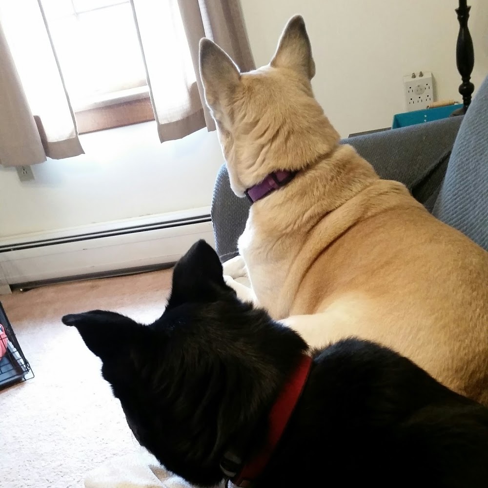 Meet your Posher, Hannah